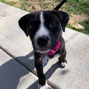 Meet your Posher, Cristina